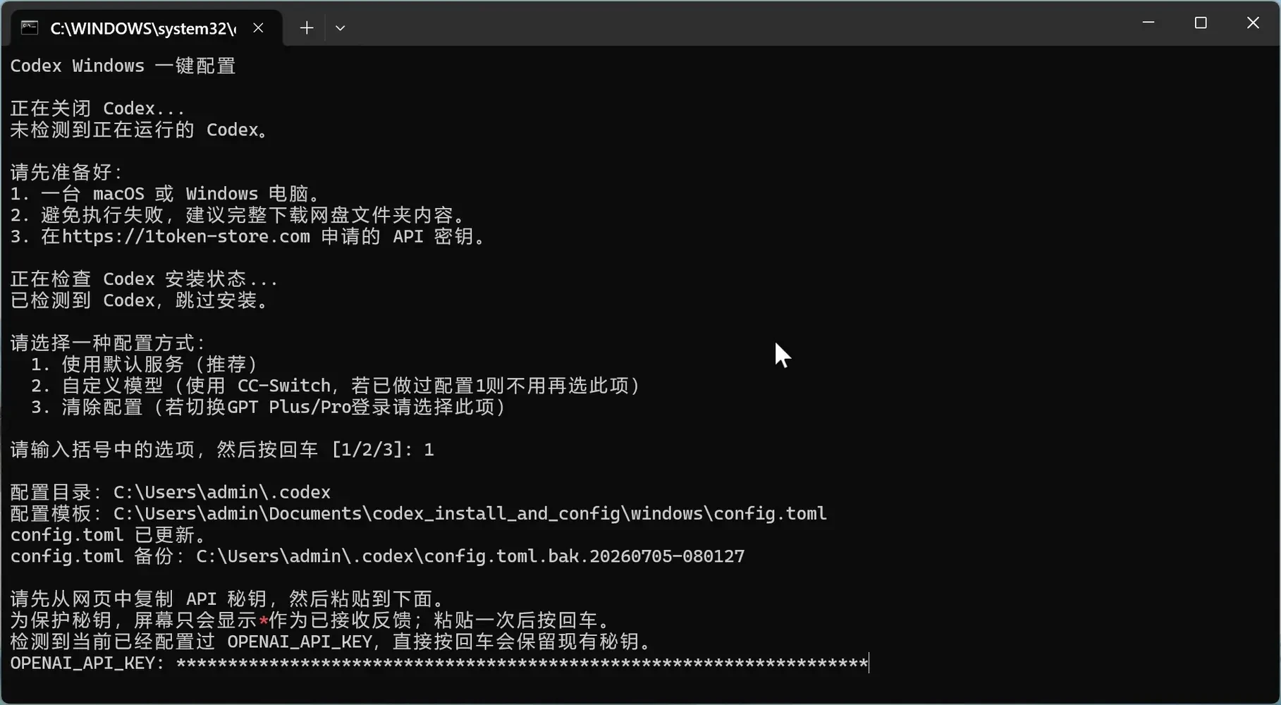 Windows 输入 API 密钥